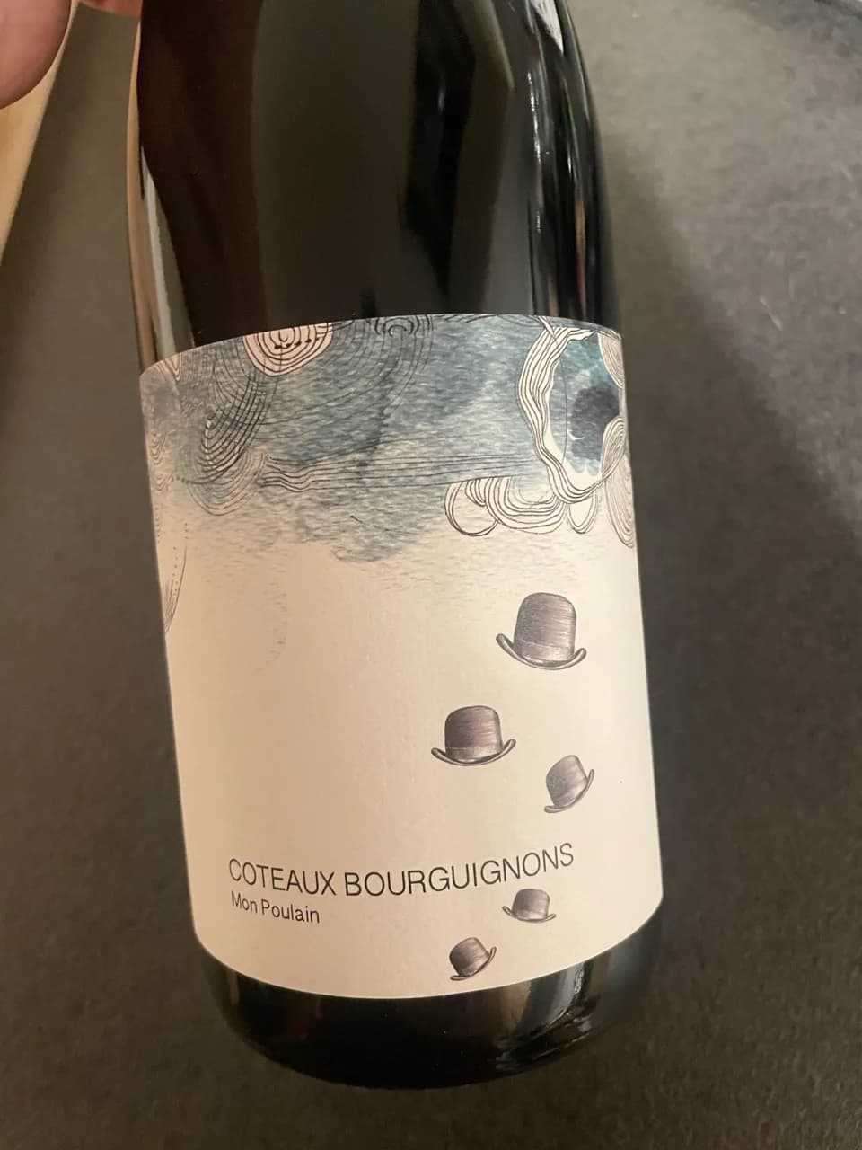 Coteaux Bourguignons - Mon Poulain - image 1