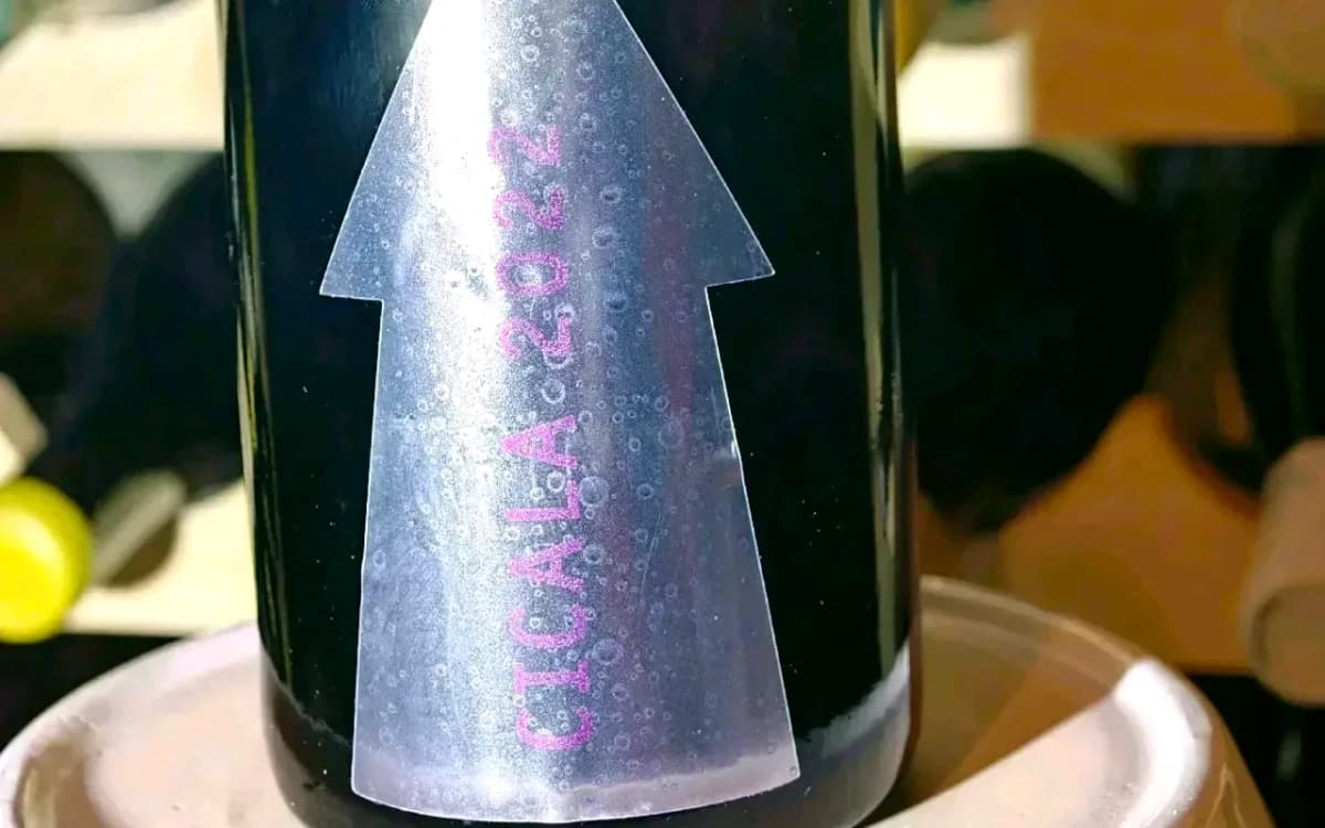 1/300 Serragghia Gabrio Bini Cicala Sekt weit unter ab Hof - image 3