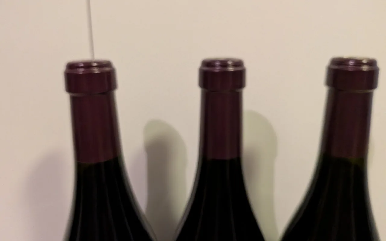 Masi Boscaini Mazzano Amarone della Valpolicella Classico - image 3