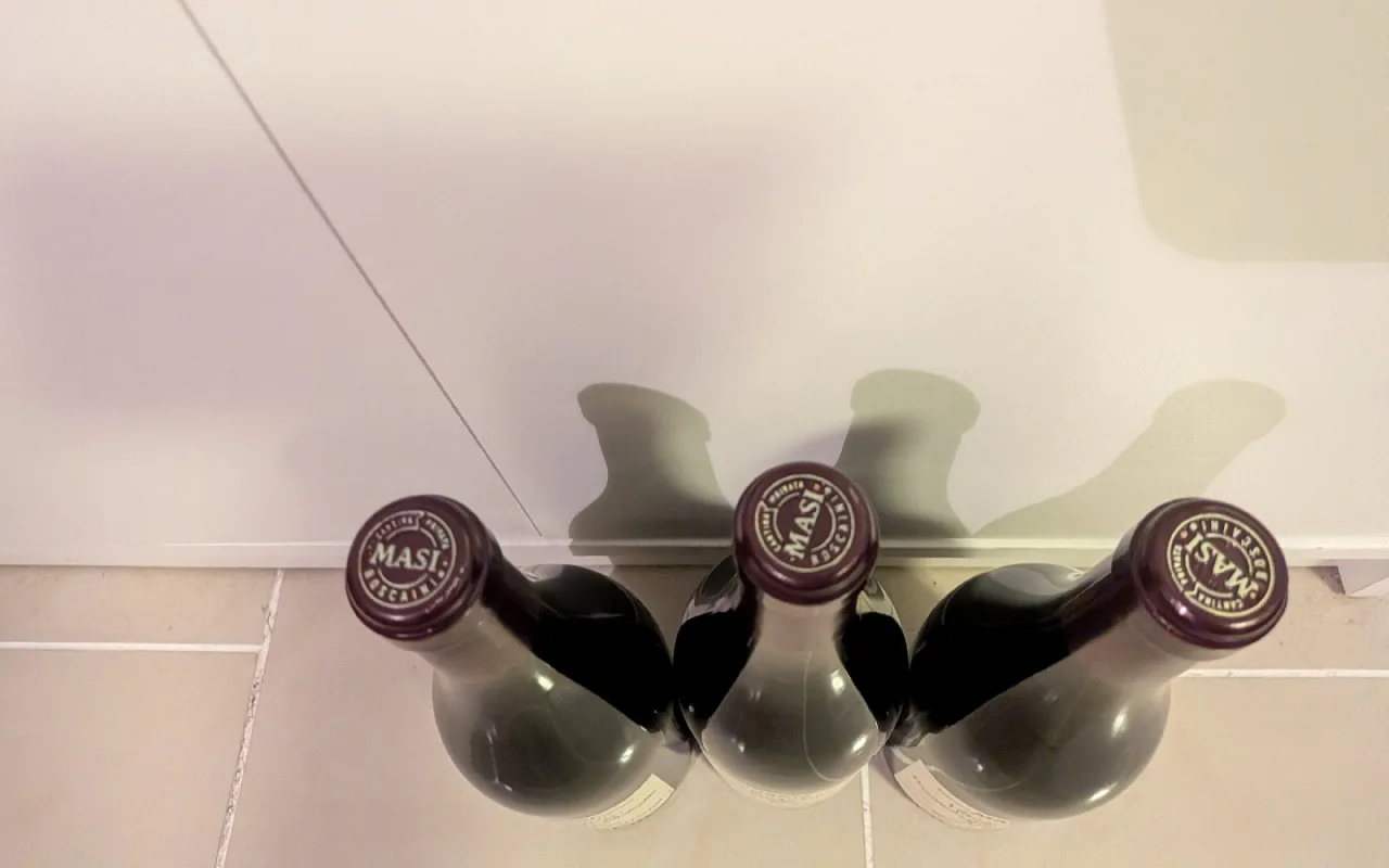 Masi Boscaini Mazzano Amarone della Valpolicella Classico - image 4