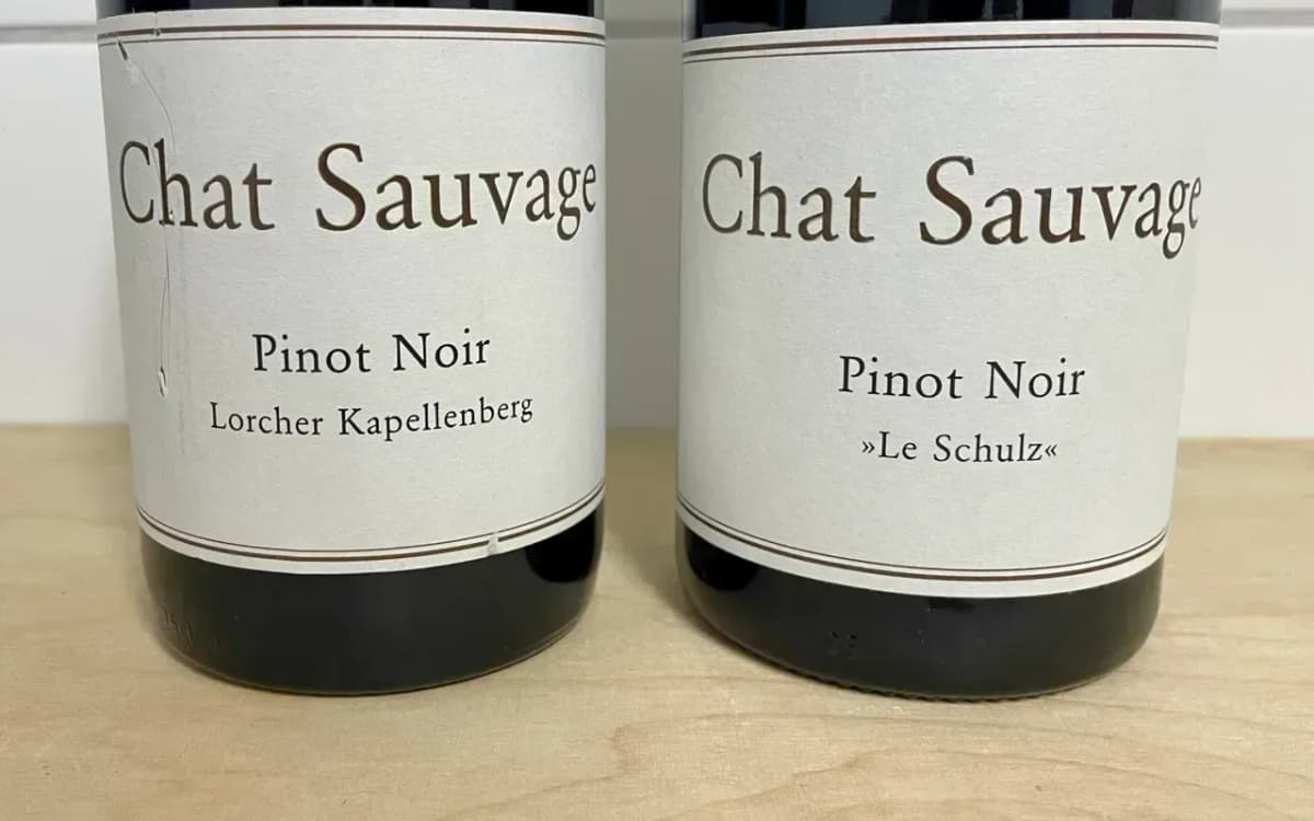 2er Paket Chat Sauvage Pinot - image 2