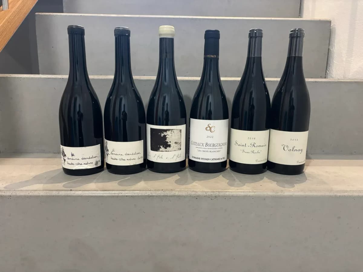 pinot Noir - Burgund 🚀 - image 1