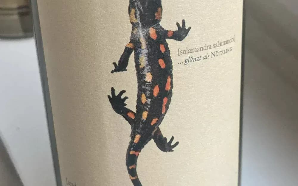 Andreas Tscheppe - Salamander 2021 - image 1