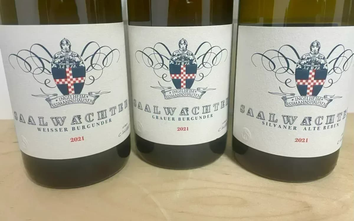 3er Paket Saalwächter Horizontale 2021 - image 2