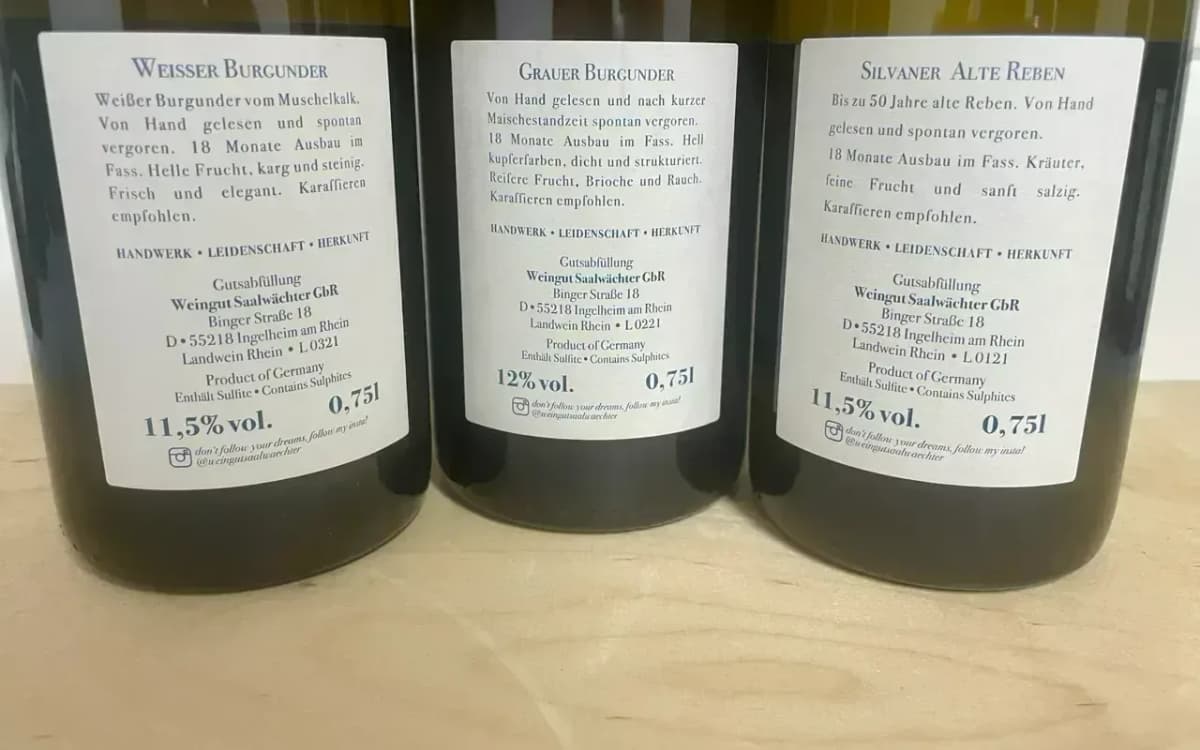 3er Paket Saalwächter Horizontale 2021 - image 3