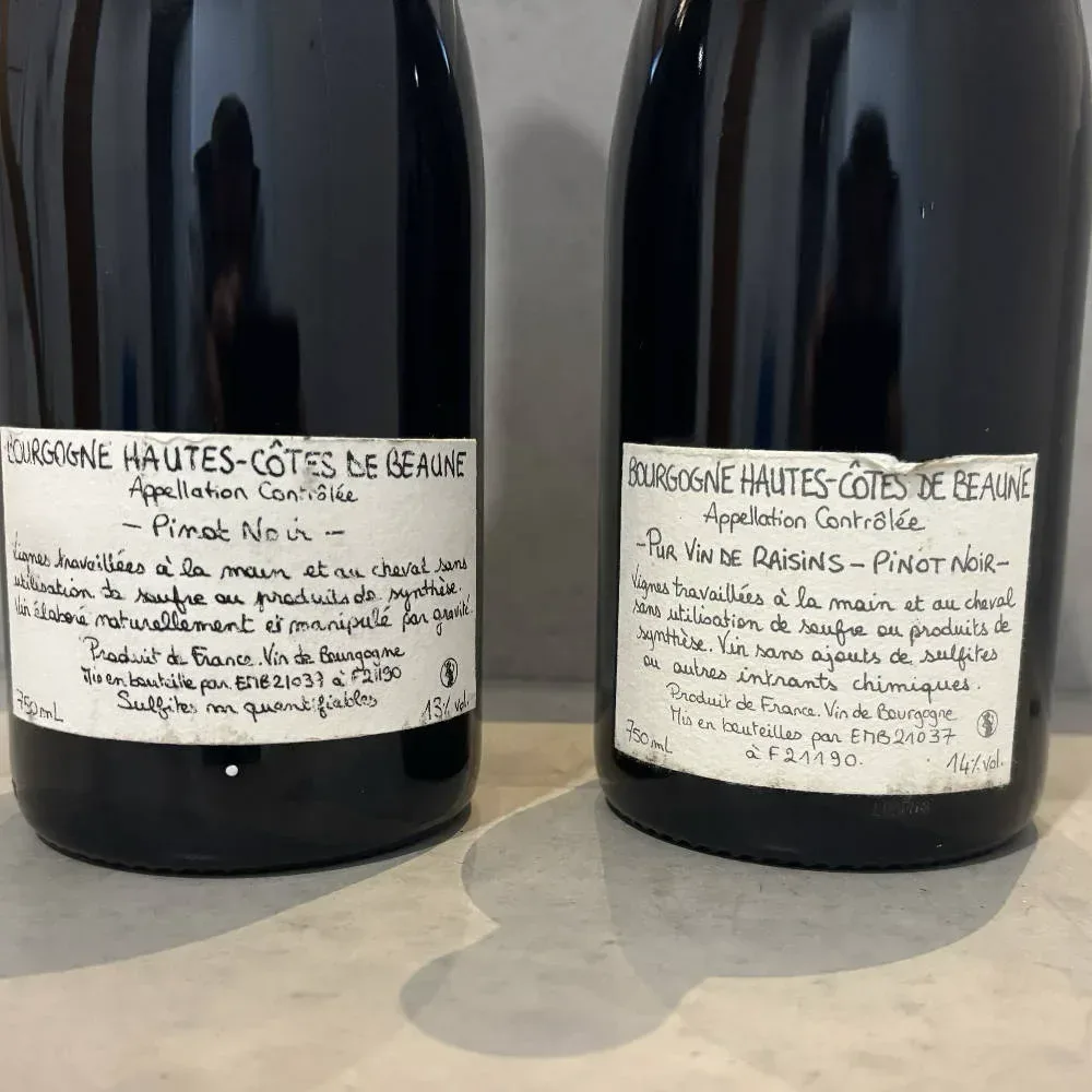 domaine Dandelion - Burgund - image 4