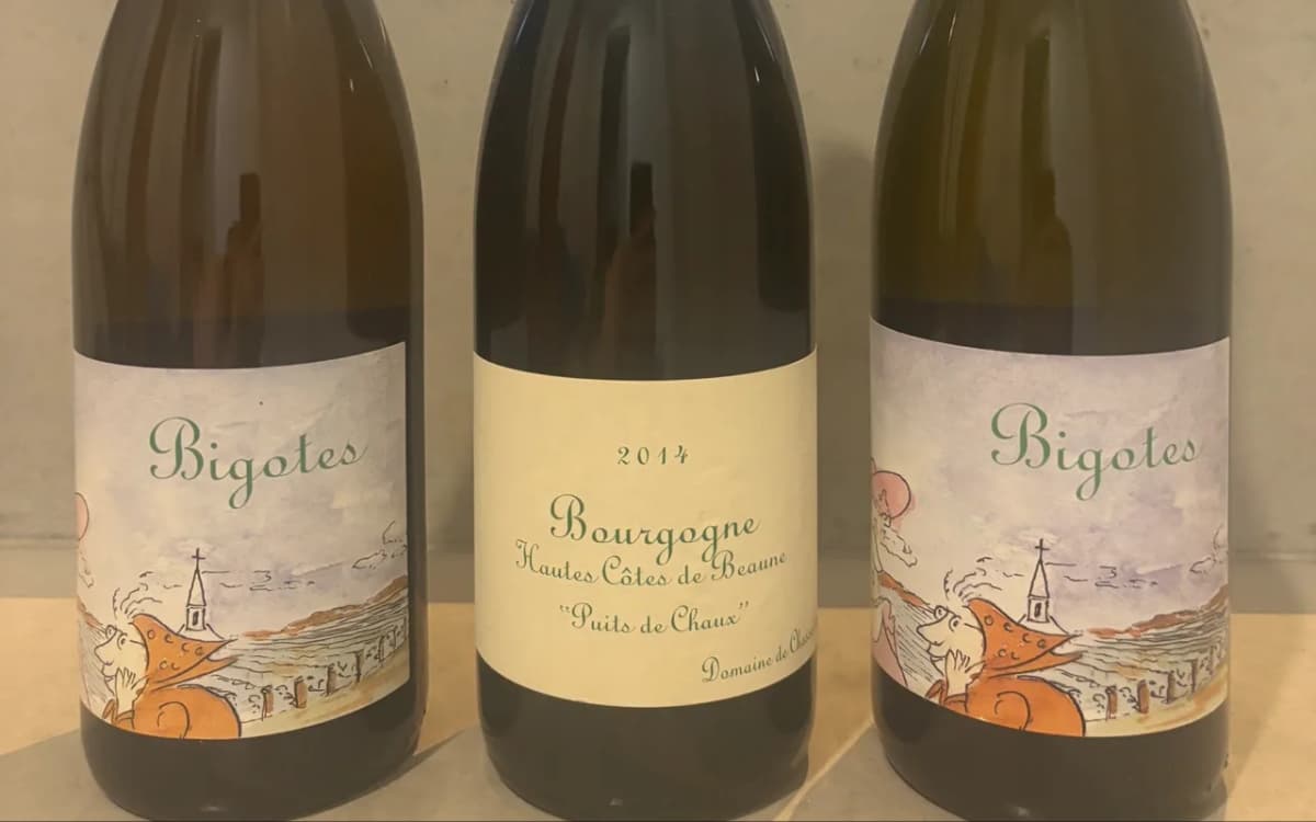 Domaine de Chassorney ** Frederic Cossard - image 1