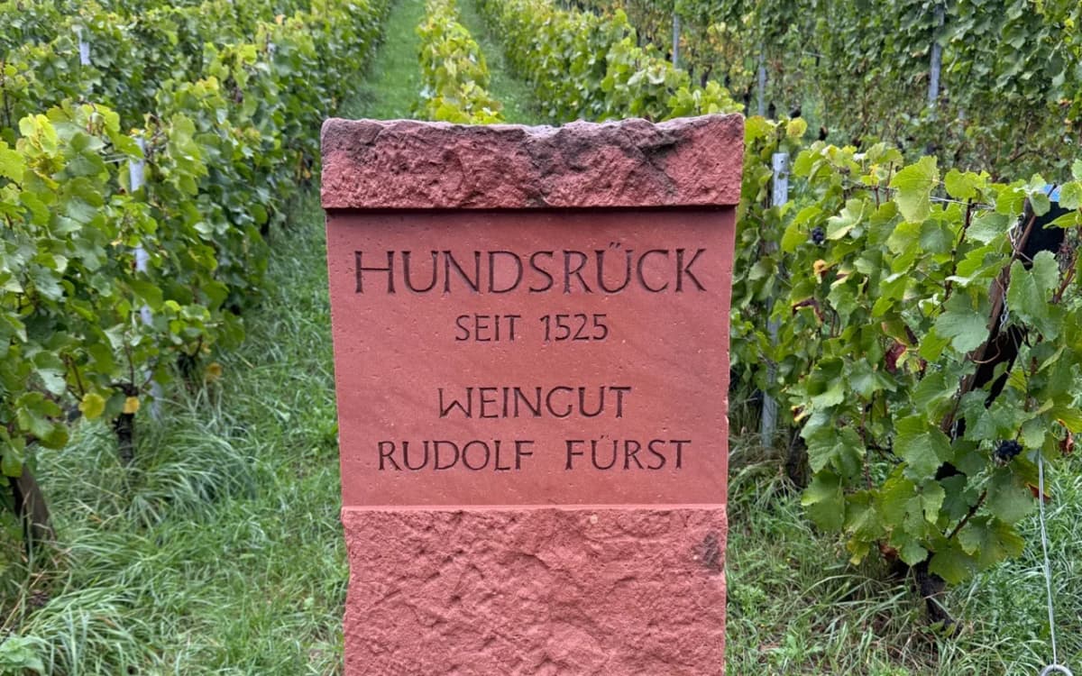 Fürst Hundsrück GG verschiedene Jahrgänge - image 2