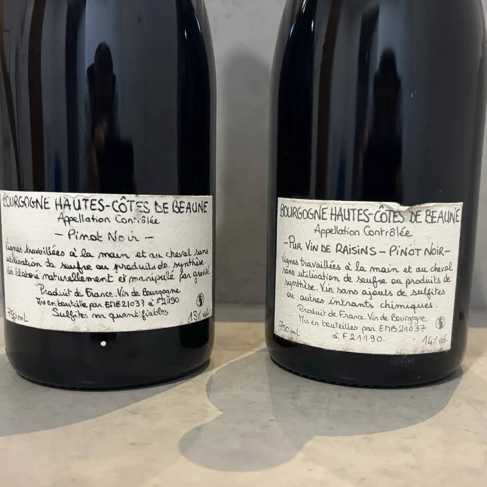 domaine Dandelion - Burgund - image 3