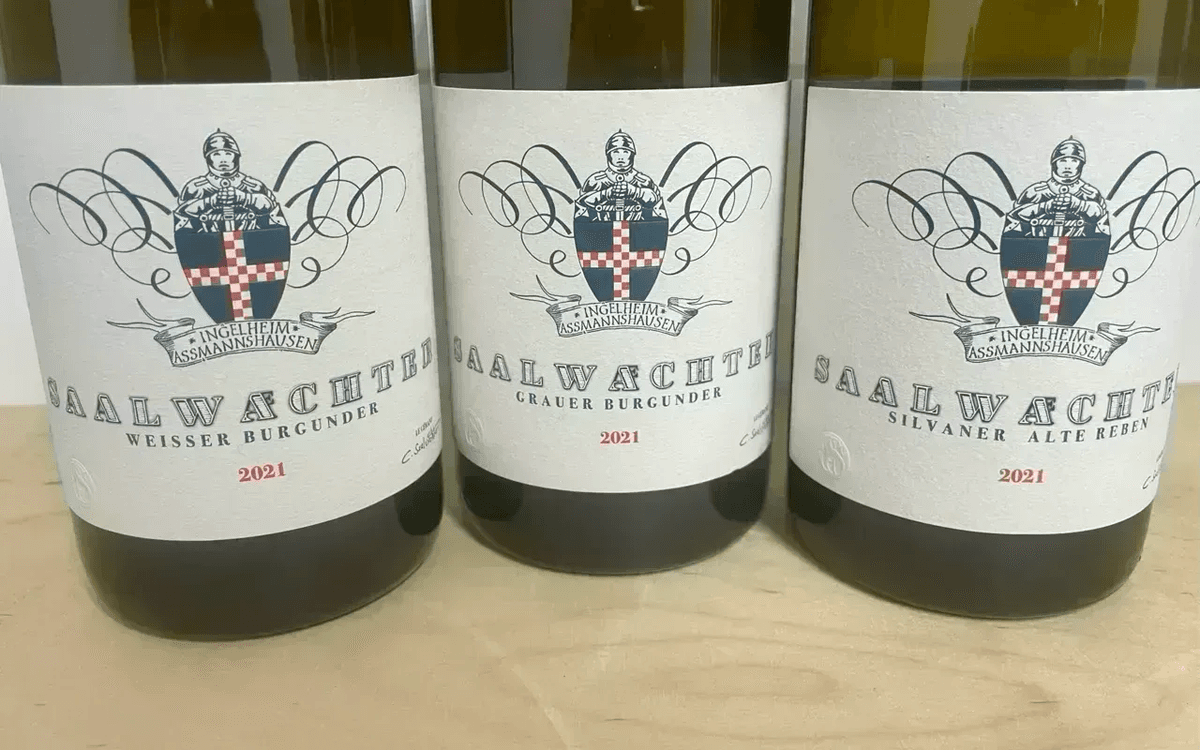 3er Paket Saalwächter Horizontale 2021 - image 2