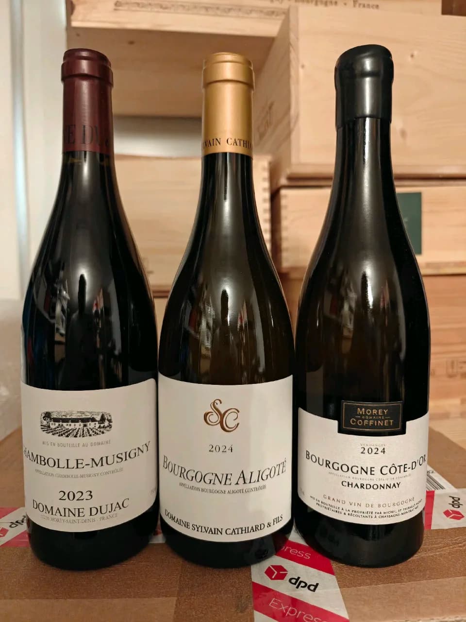 Burgund Trio #1 - image 1