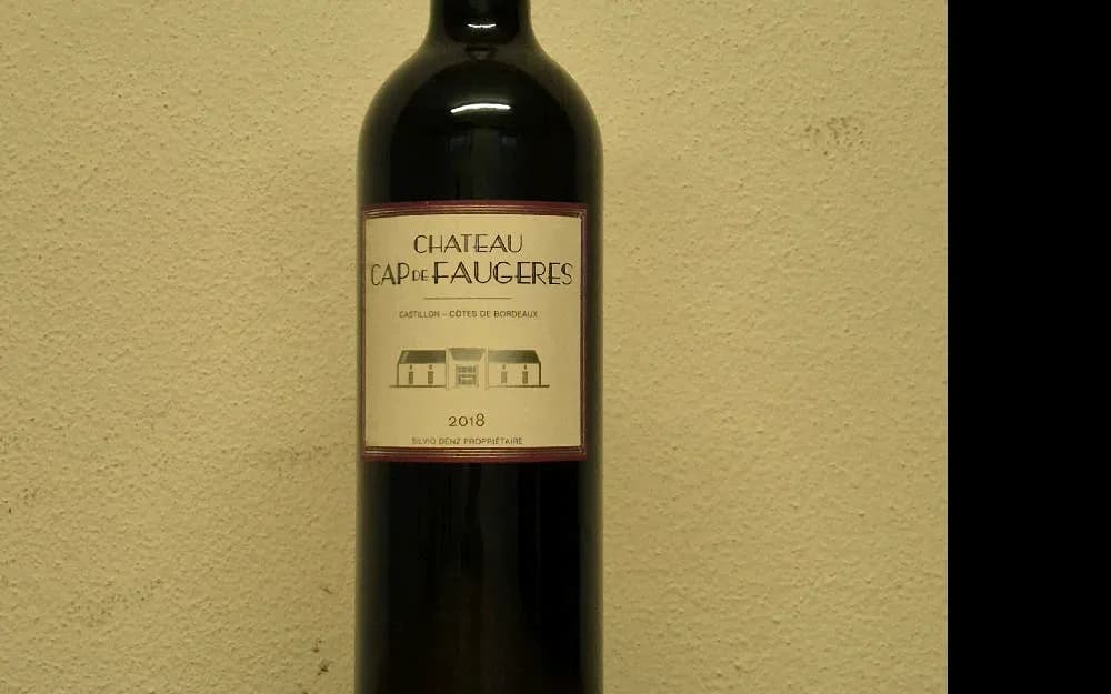2018 Chateau Cap de Faugeres - image 1