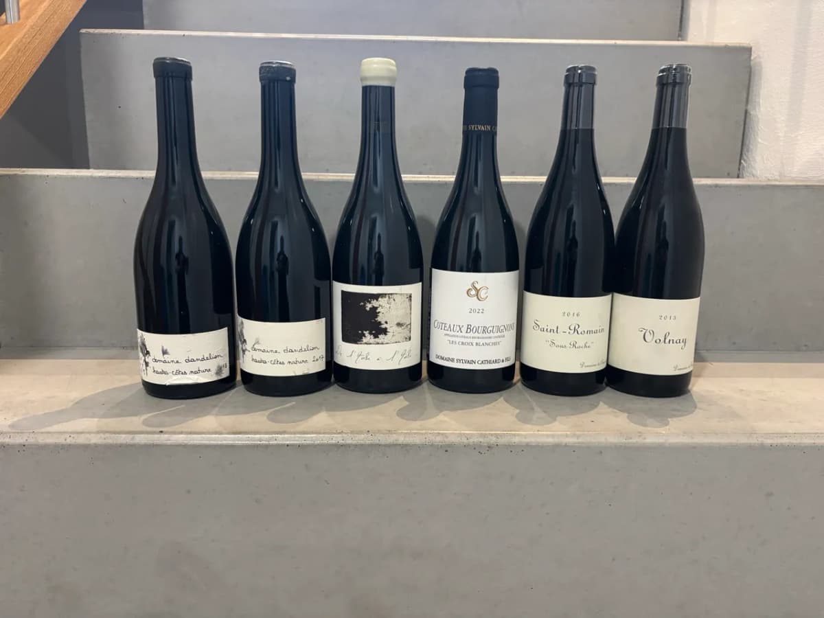 pinot Noir - Burgund 🚀 - image 1