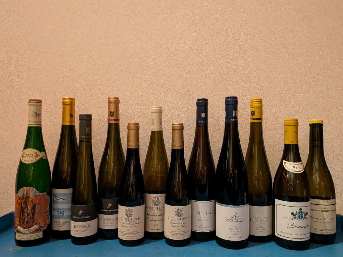 12 x Weißwein - image 1