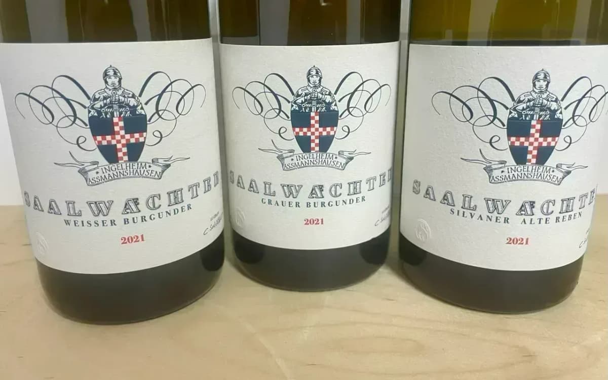 3er Paket Saalwächter Horizontale 2021 - image 2