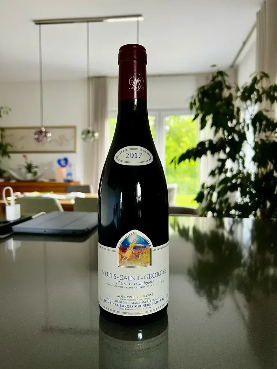 Nuits-Saint-Georges 1er Cru Les Chaignots (Domaine Georges Mugneret-Gibourg) - image 1