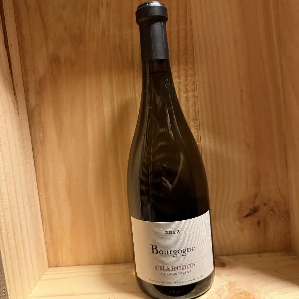 Charodon Bourgogne Chardonnay 2022 - image 2
