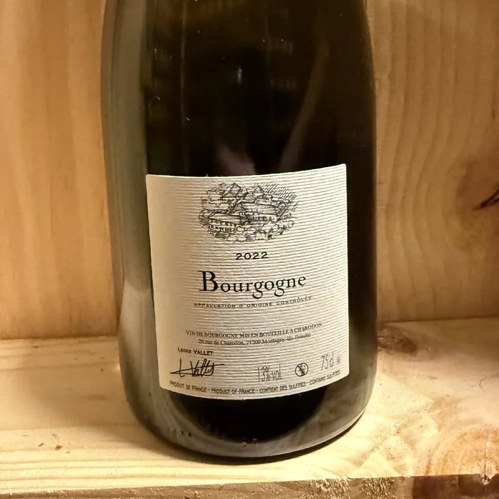 Charodon Bourgogne Chardonnay 2022 - image 4