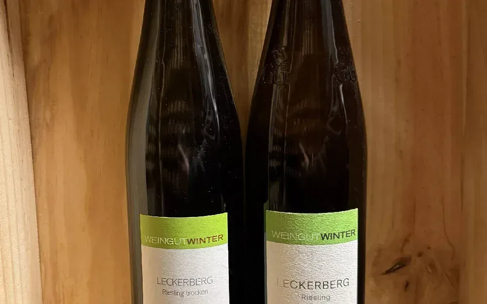 Winter GG Duo - image 1