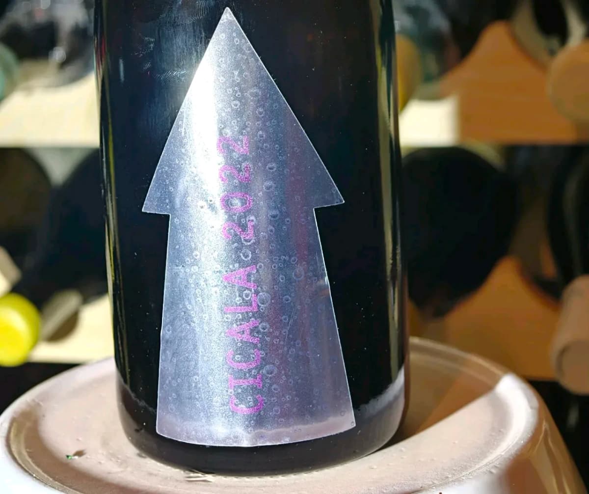 1/300 Serragghia Gabrio Bini Cicala Sekt weit unter ab Hof - image 3