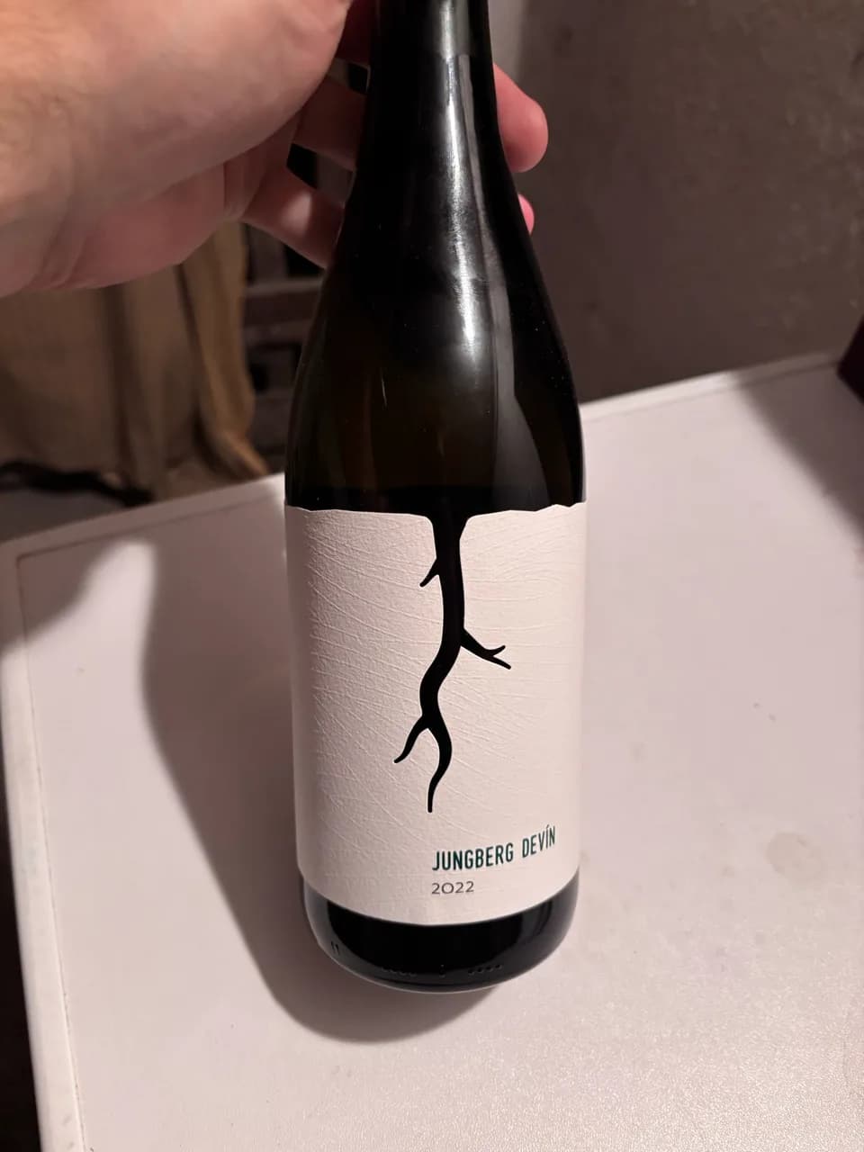 Vino Magula - Jungberg Devin 2022 - image 1