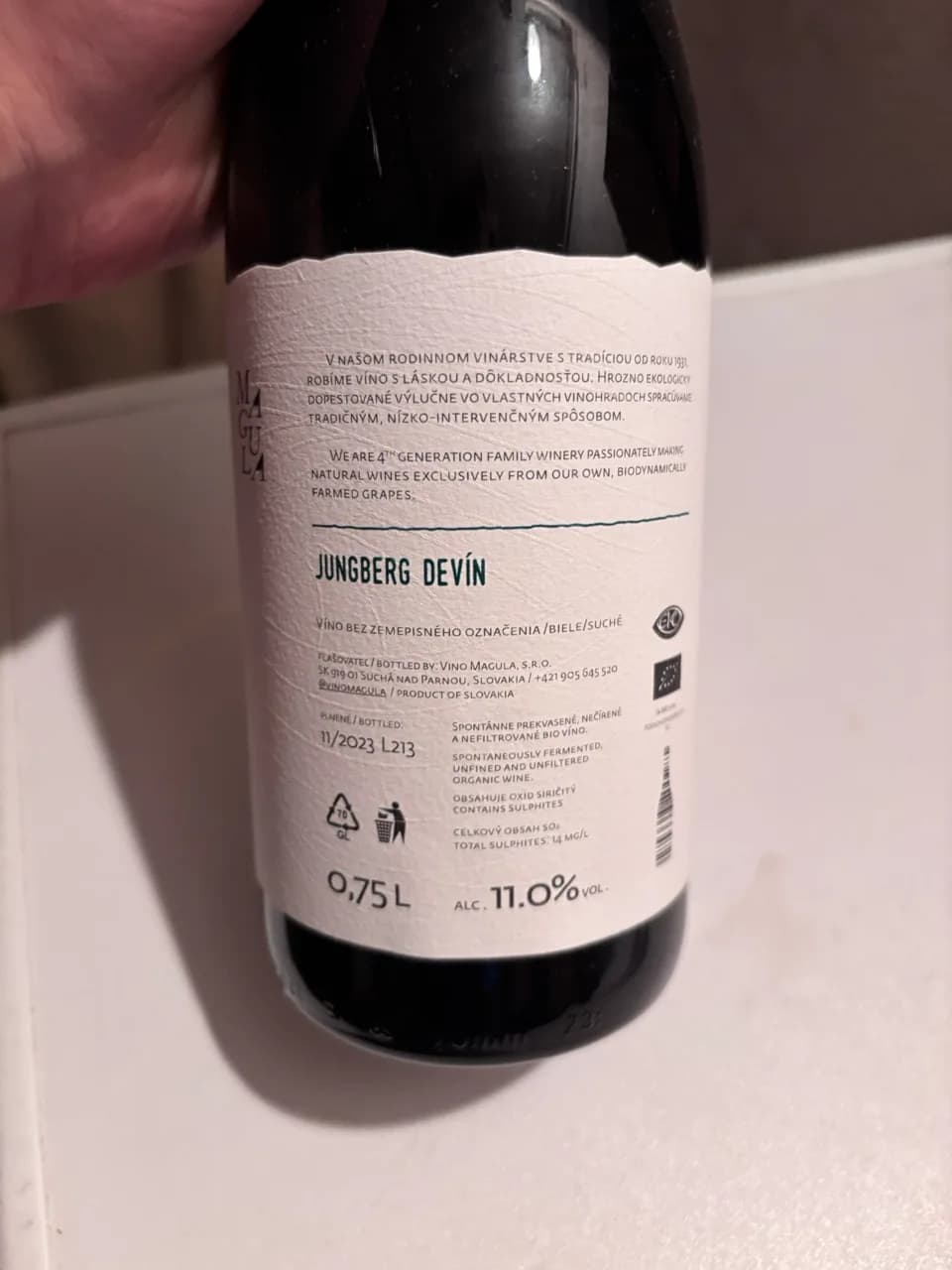 Vino Magula - Jungberg Devin 2022 - image 2