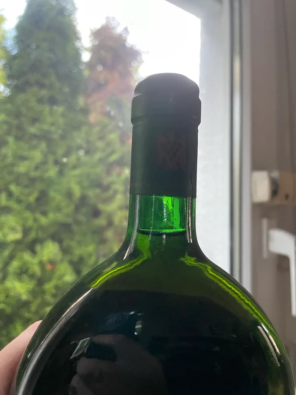 Iphöfer Burgweg Faberrebe Auslese Hans Wirsching 13,5% süsswein franken boxbeutel 1993 - image 3