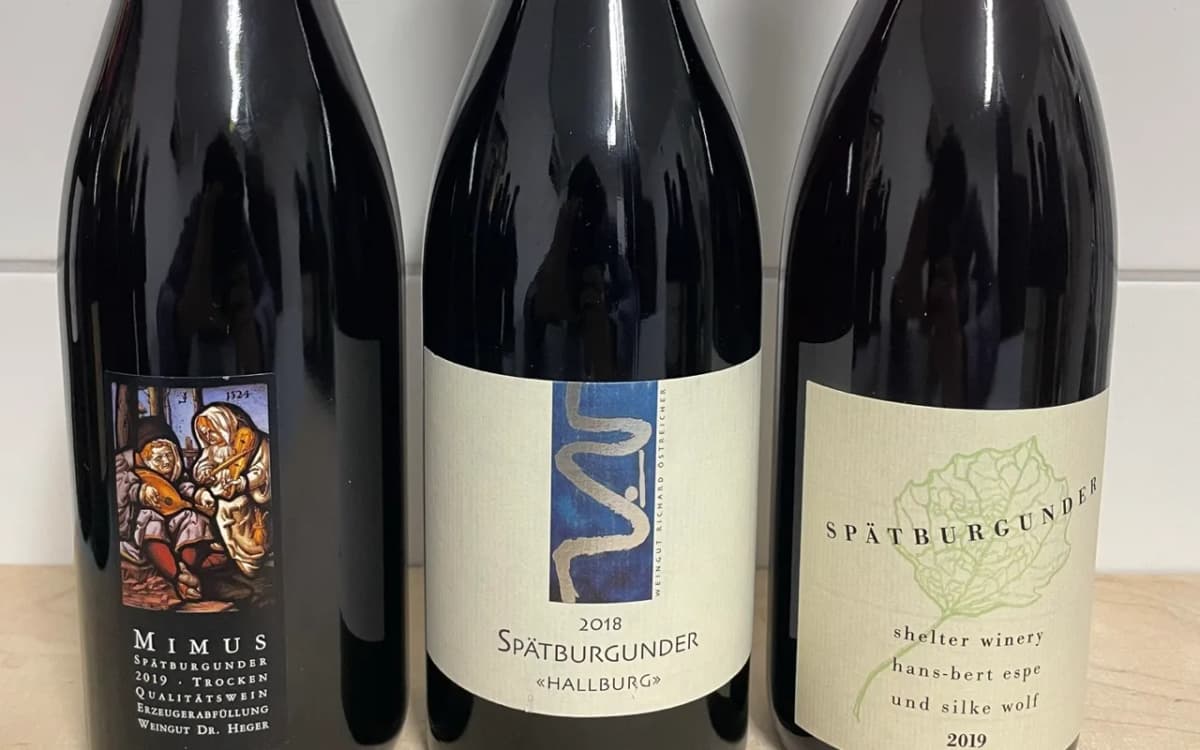 3er Paket Heger, Oestreicher Pinot Noir - image 1