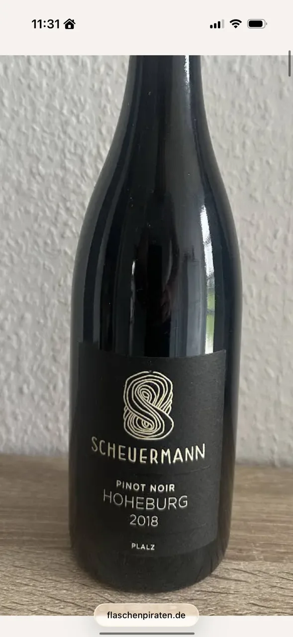 Scheuermann Hohe Burg - image 1