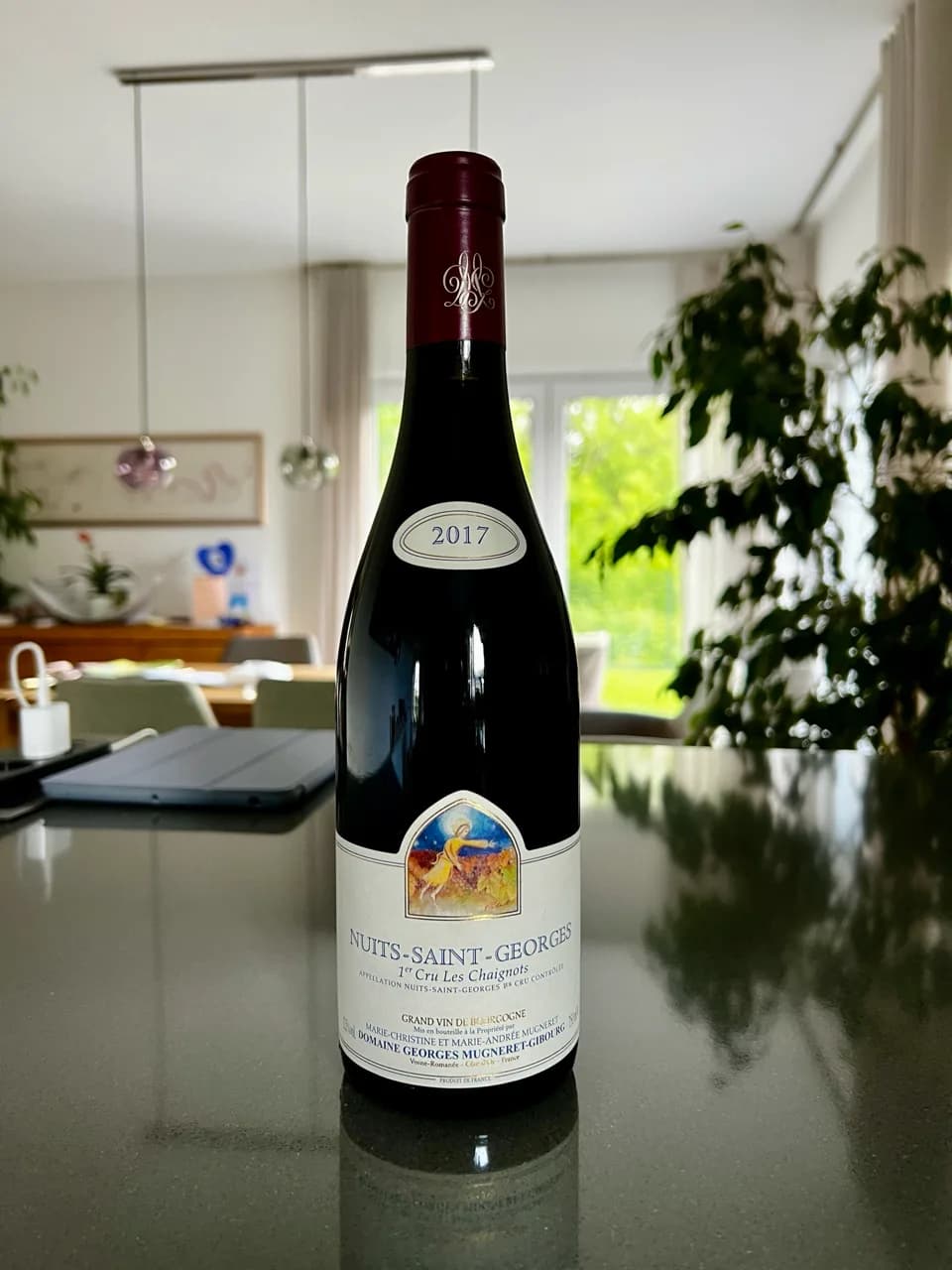 Nuits-Saint-Georges 1er Cru Les Chaignots (Domaine Georges Mugneret-Gibourg) - image 1