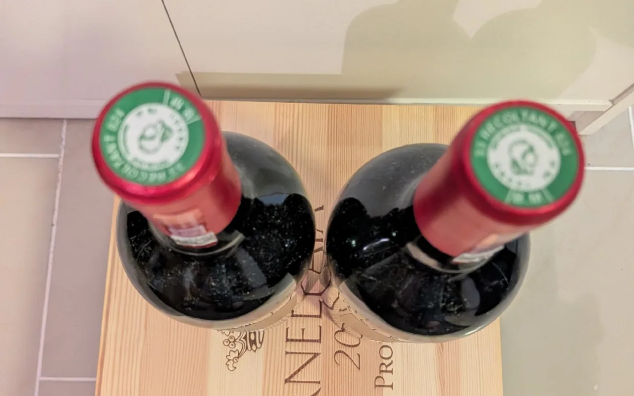 2x Chateau Palmer Alter Ego 2017 - image 3