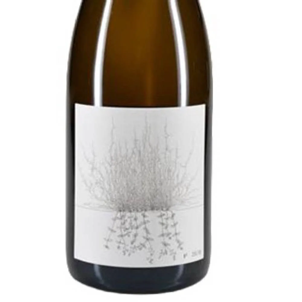Suche Weine von Johannes Aufricht - image 1