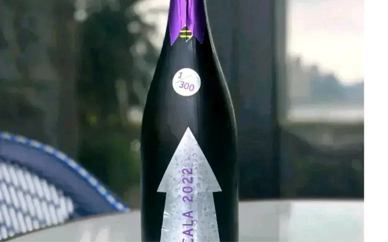 1/300 Serragghia Gabrio Bini Cicala Sekt weit unter ab Hof - image 1