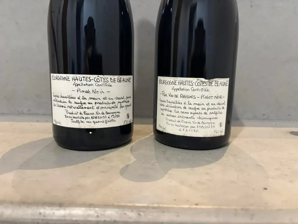 Domaine Dandelion - image 2
