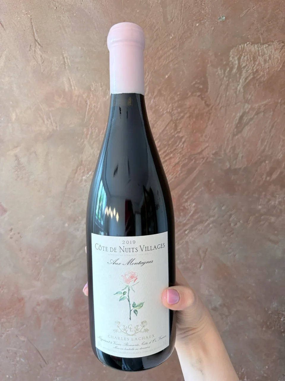 Charles Lachaux – Côte de Nuits Villages „Aux Montagnes“ 2019 – Burgund Pinot Noir - image 1