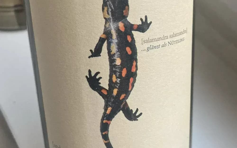 Andreas Tscheppe - Salamander 2021 - image 2
