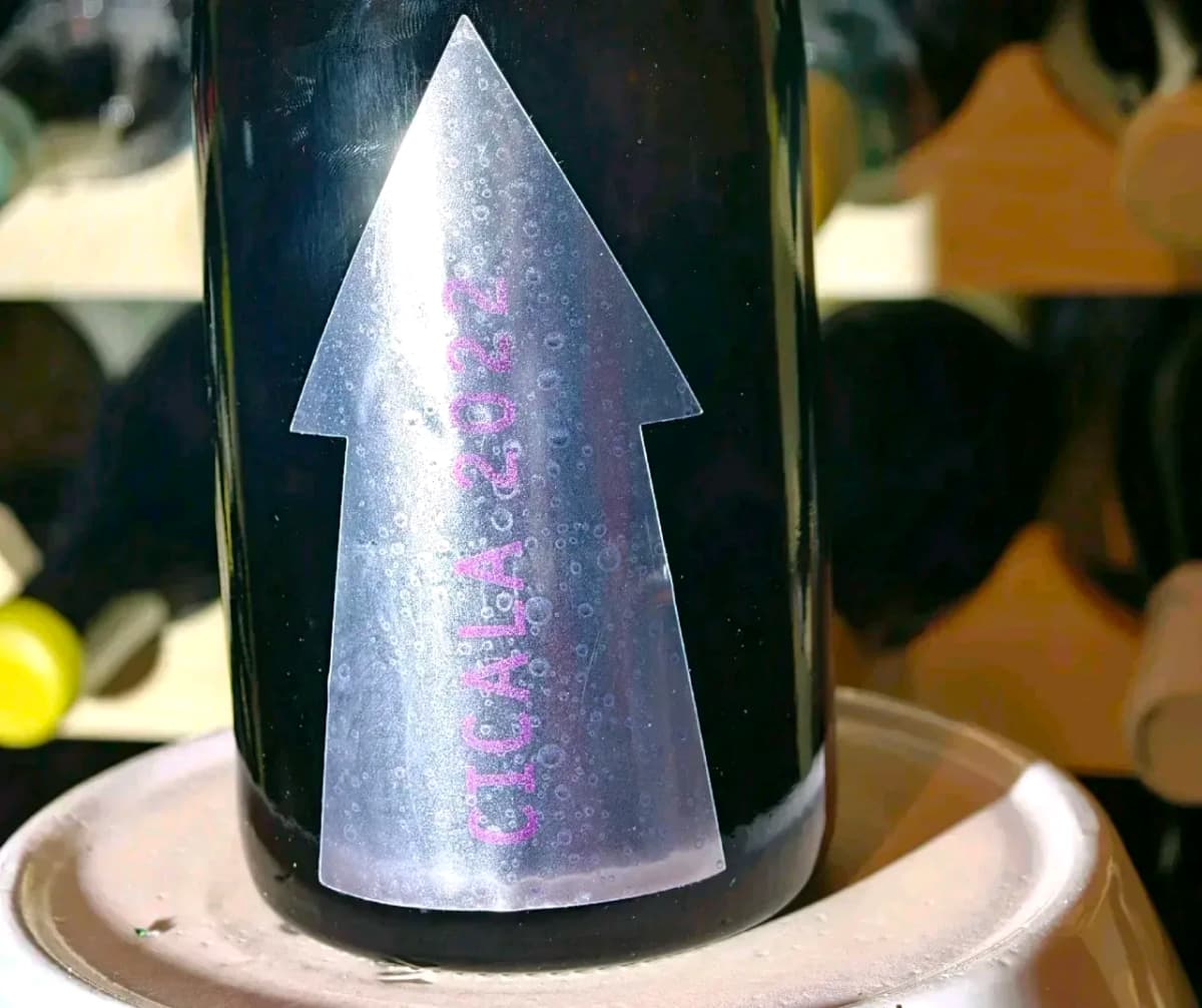 1/300 Serragghia Gabrio Bini Cicala Sekt weit unter ab Hof - image 3
