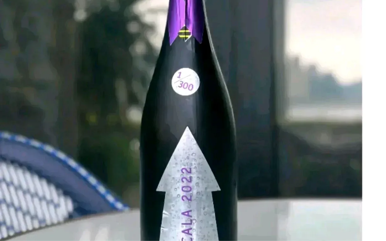 1/300 Serragghia Gabrio Bini Cicala Sekt weit unter ab Hof - image 1