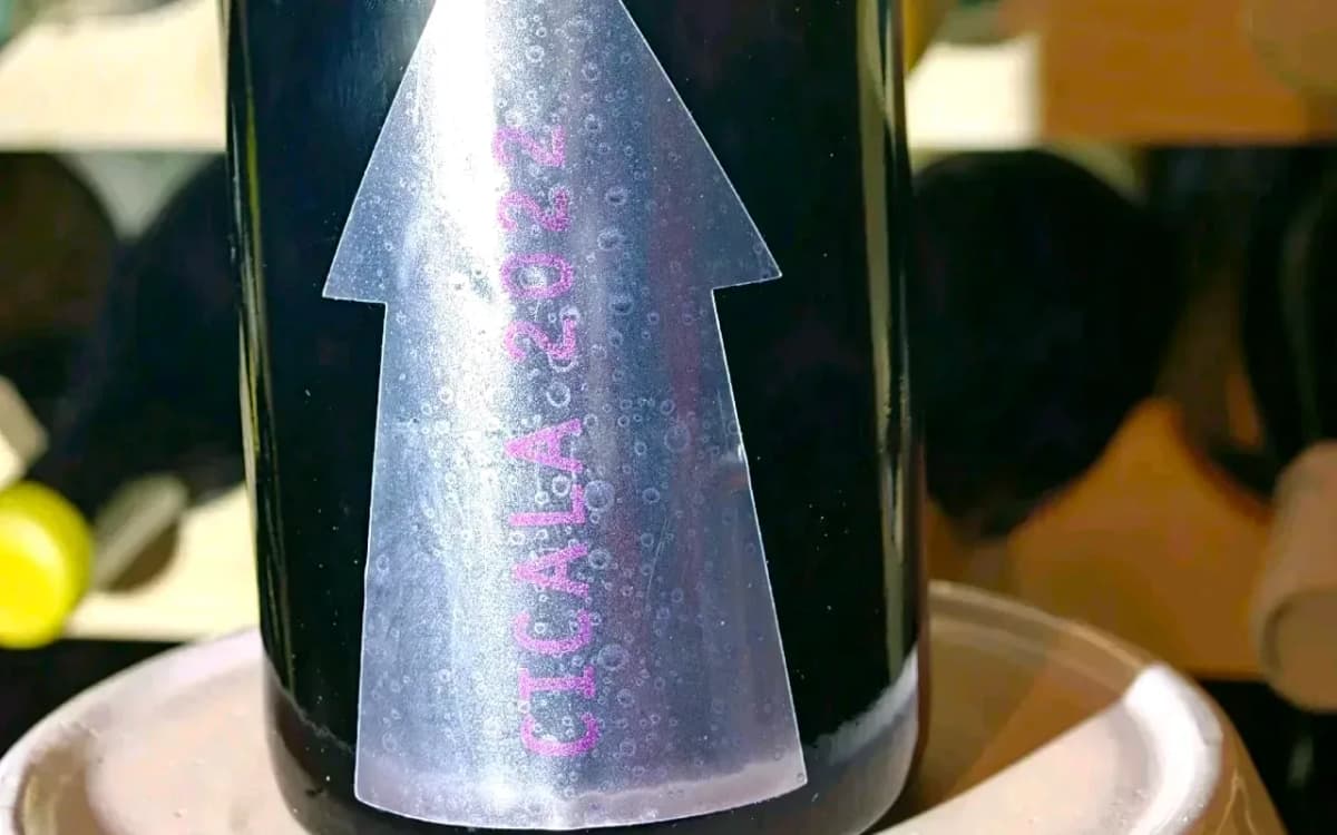 1/300 Serragghia Gabrio Bini Cicala Sekt weit unter ab Hof - image 3