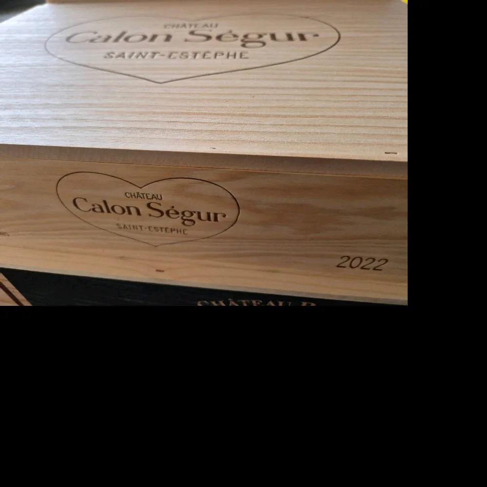 2022 Calon Segur - image 3