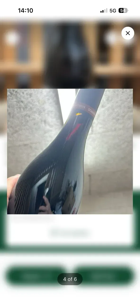 Domaine Arnoux Lachaux Vosne Romanee Les Hautes Maizieres - image 2