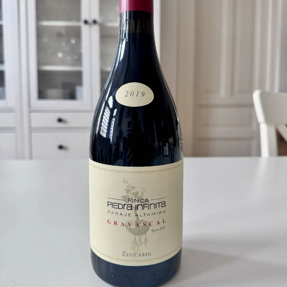 Finca Piedra Infinita Gravascal Malbec 2019 - image 1