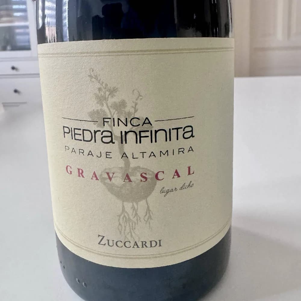 Finca Piedra Infinita Gravascal Malbec 2019 - image 2