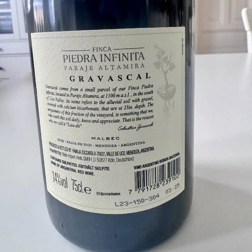 Finca Piedra Infinita Gravascal Malbec 2019 - image 3