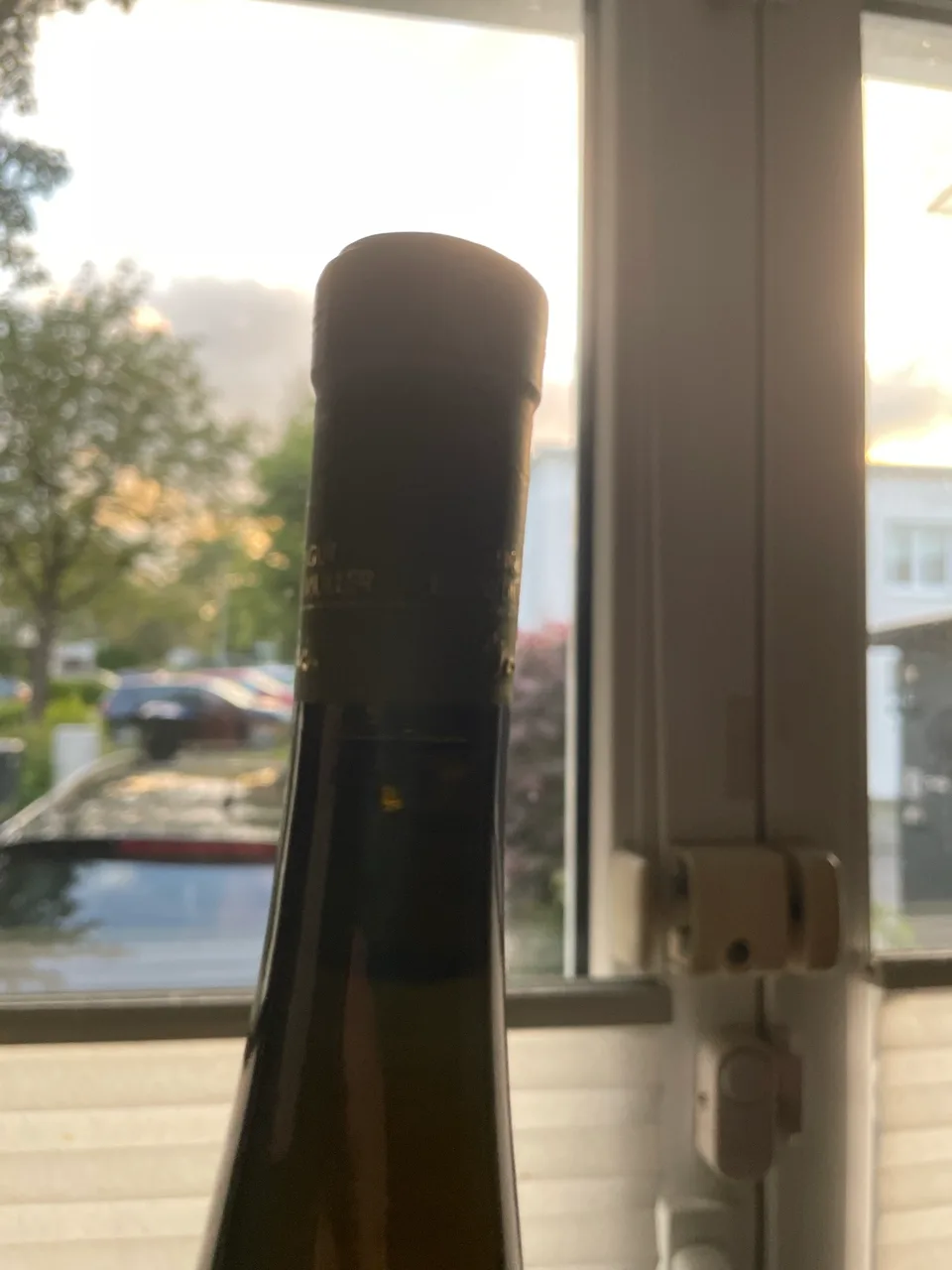 Weingut Eugen Müller Forster Kirchenstück 2002 Riesling Auslese Pfalz 9% Süsswein - image 5