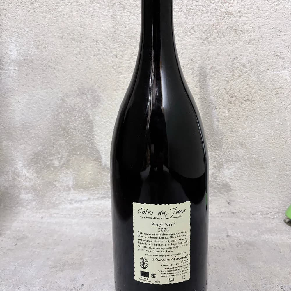 J. F. Ganevat - En Billat Magnum Pinot Noir 2023 - image 3