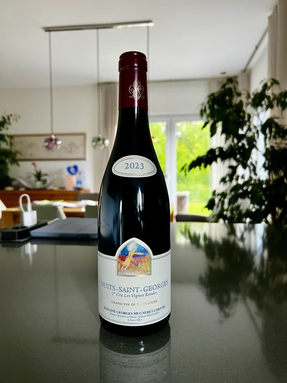 Domaine Georges Mugneret-Gibourg Nuits-Saint-Georges 1er Cru "Les Vignes Rondes" - image 1
