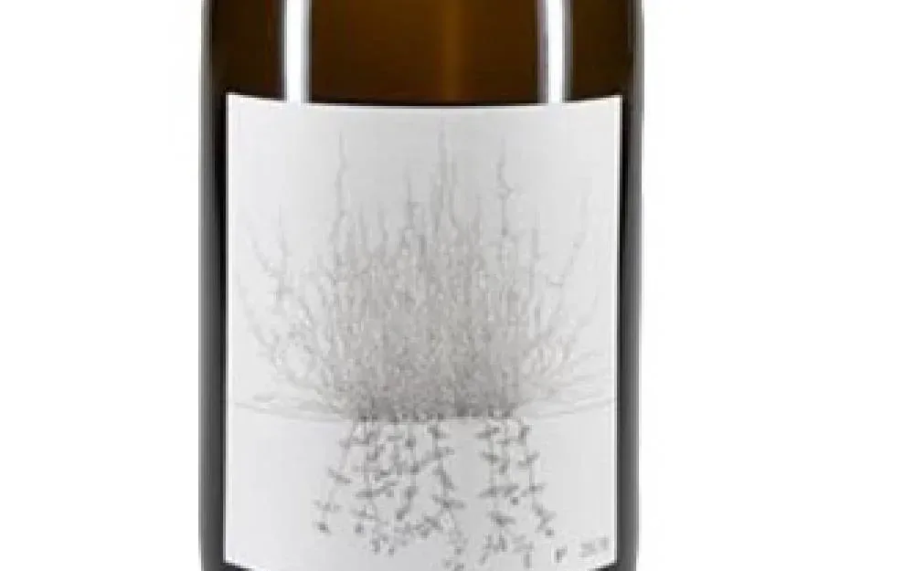 Suche Weine von Johannes Aufricht - image 1