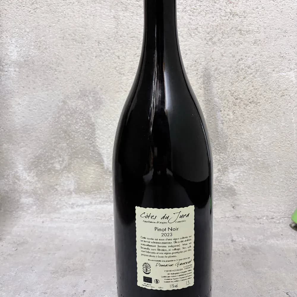 J. F. Ganevat - En Billat Magnum Pinot Noir 2023 - image 3