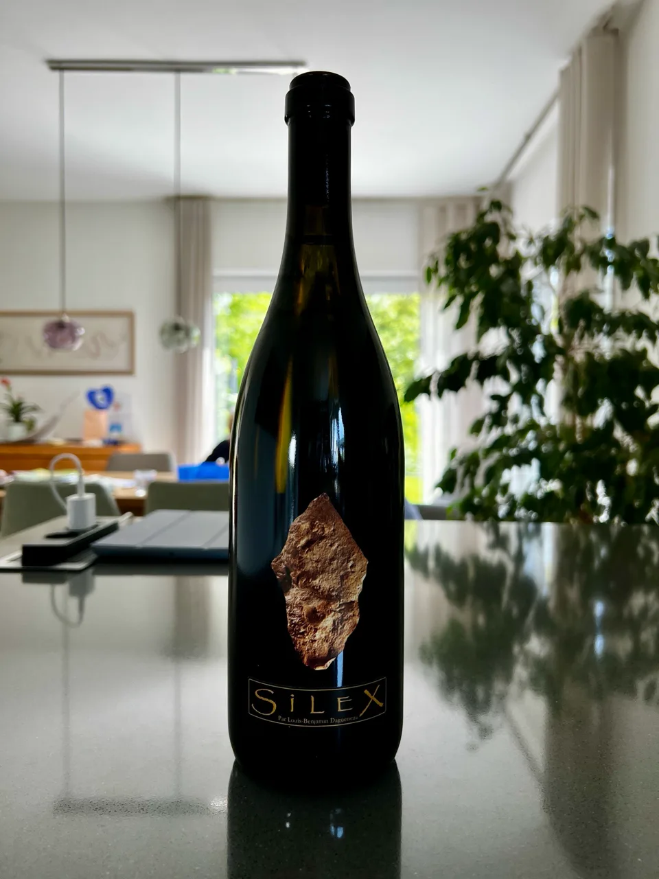 SiLEX - image 1